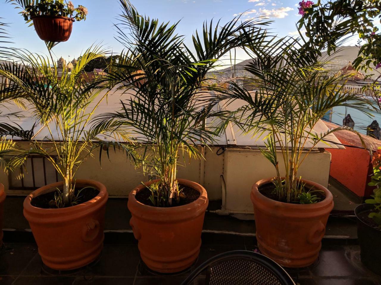 Hostal De Las Americas Oaxaca Exteriör bild